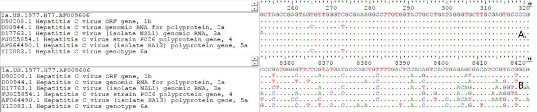 A.5’端非編碼區序列；B.NS5序列
